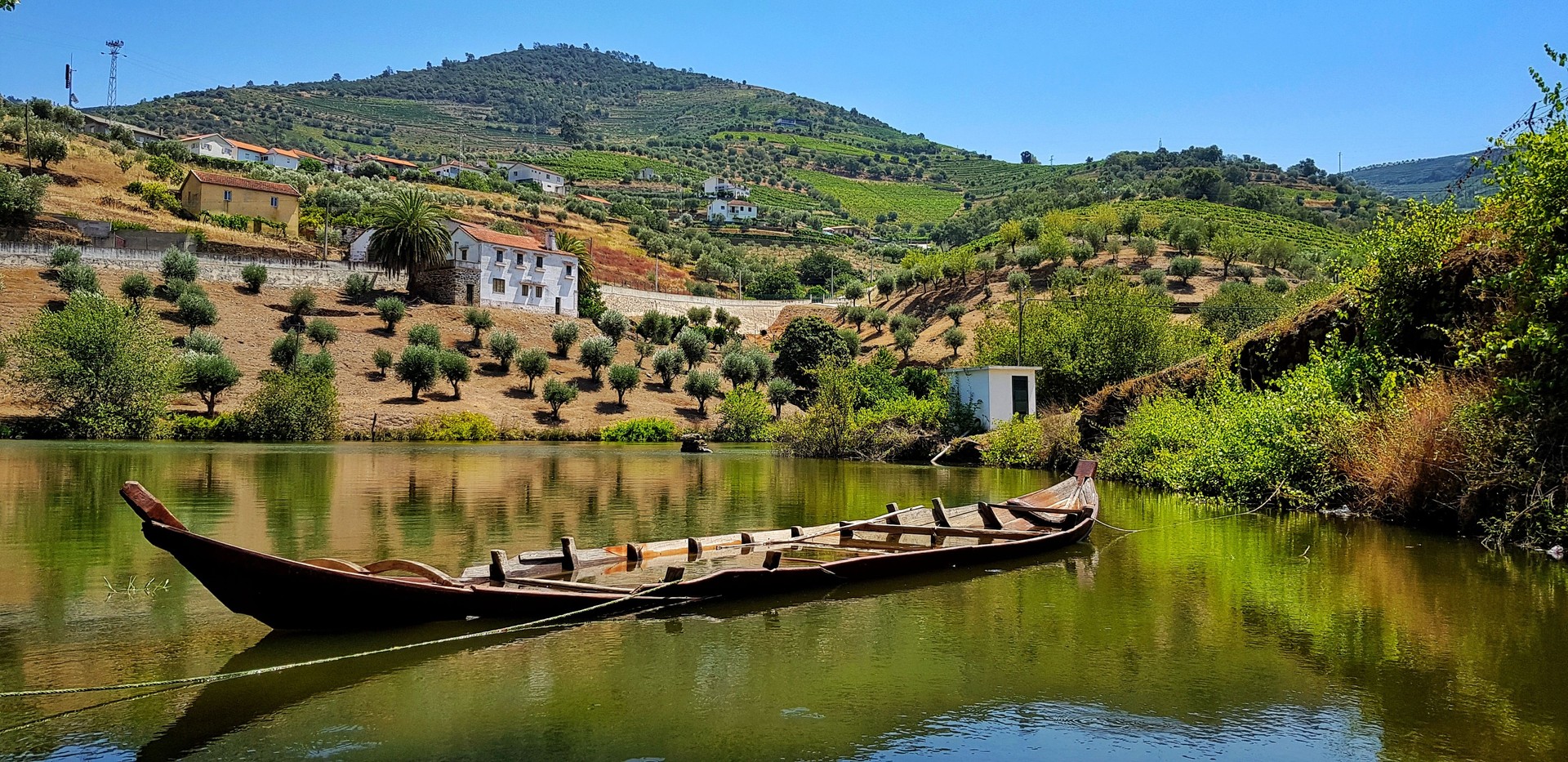 Abandoned boat near Pinhao in the river on a sunny day