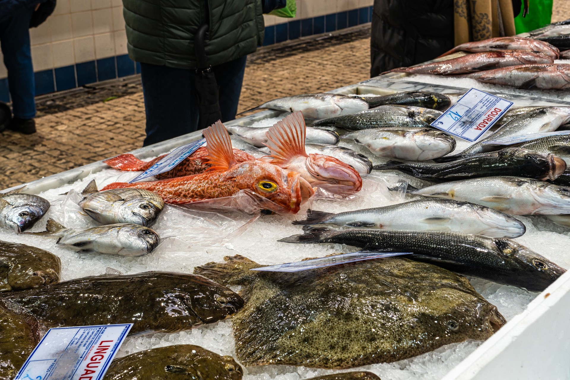 Mercado do Livramento in Setubal, Portugal. Fresh fish and food market