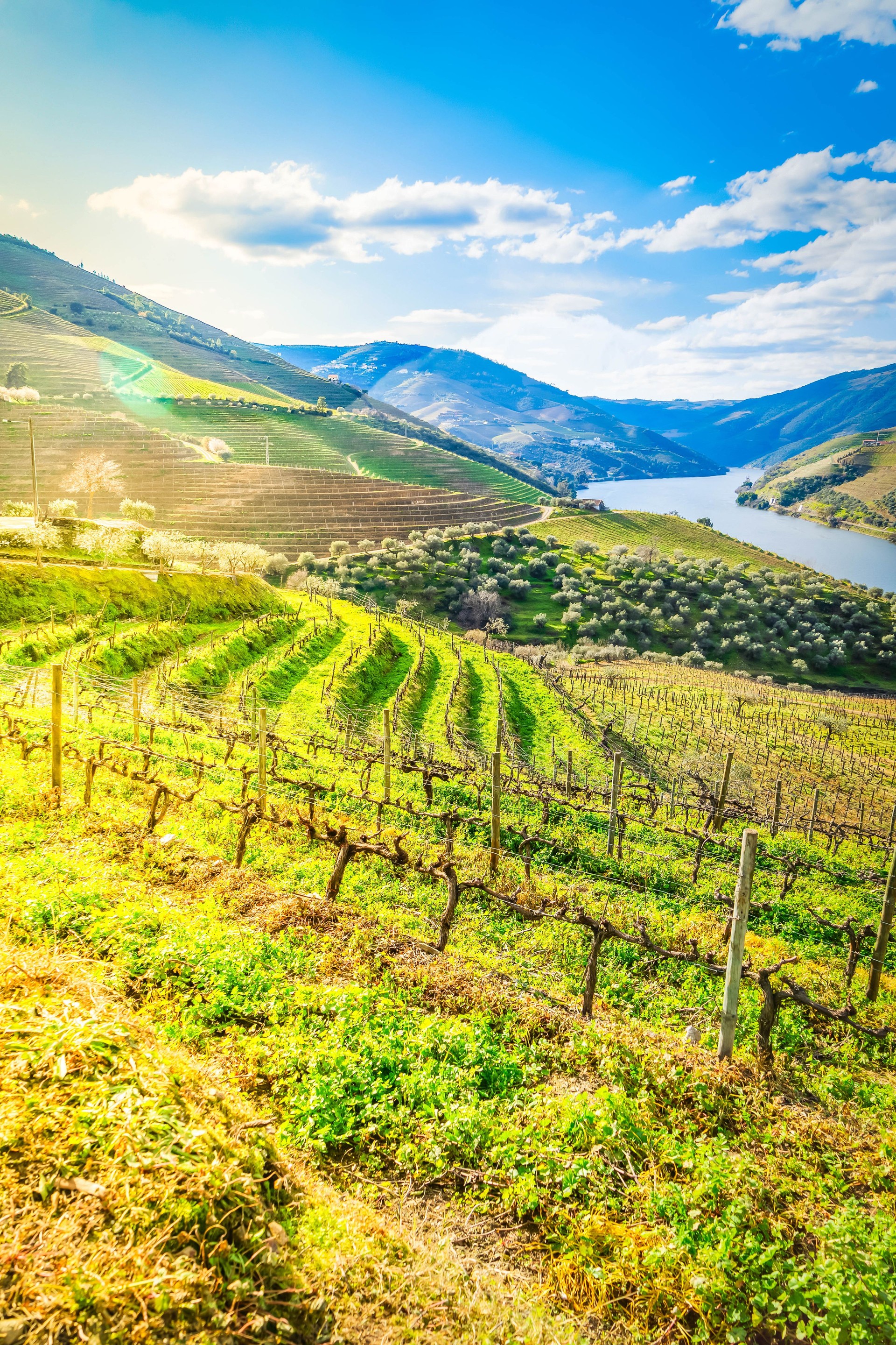 Douro wine valley
